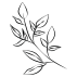 Untitled design